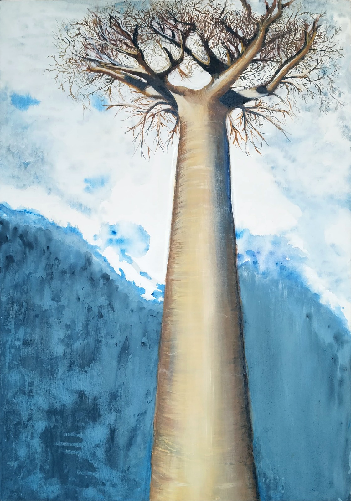 Baobab Madagaskar